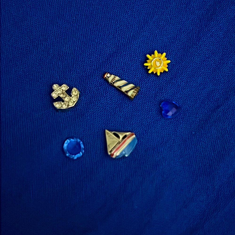 Set of 6 Origami Owl charms 💕